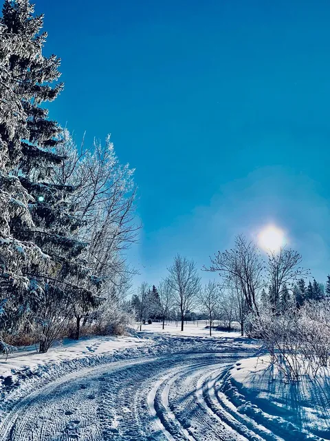 🎼 Bing Crosby - White Christmas Album