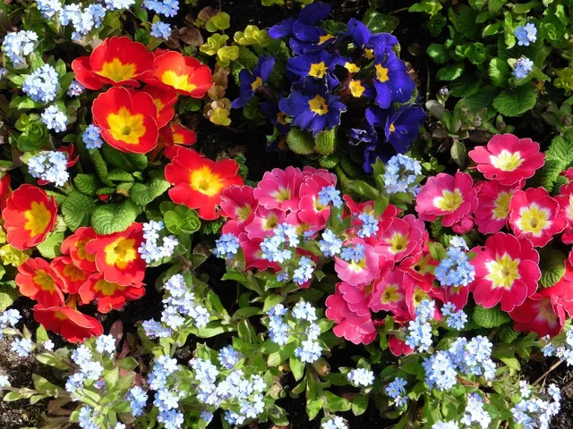 🎼 Silje Nergaard - You Send Me Flowers Album