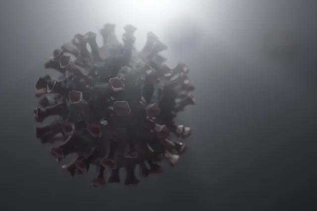 🎼 Straddi.Virus - Straddi.Virus Is Back (Inclus La Version Chantée) Album