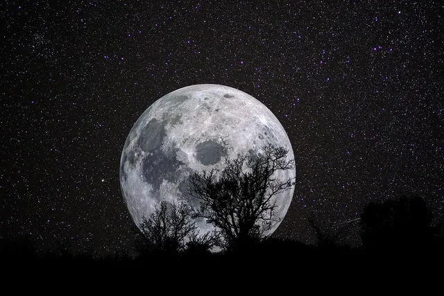 🎼 Africanism All Stars - Summer Moon Album