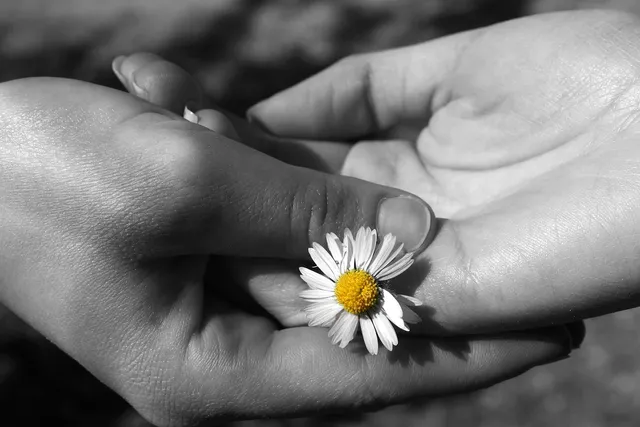 🎼 Margaret Urlich - Boy In The Moon Album