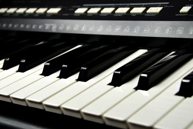 🎼 Scott Joplin, Joshua Rifkin - Piano Rags By Scott Joplin Album