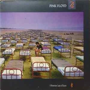 🎼 Pink Floyd - A Momentary Lapse Of Reason Album