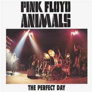 🎼 Pink Floyd - The Perfect Day Album