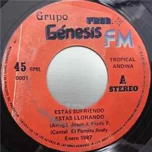 🎼 Grupo Génesis de Huancayo - Estas Sufriendo Estas Llorando / Ya No Puedo Quererte Album