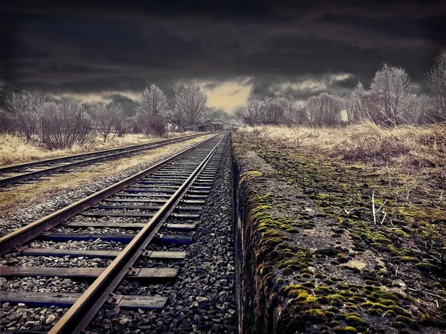 🎼 Bruce Springsteen - Radio Nowhere Album