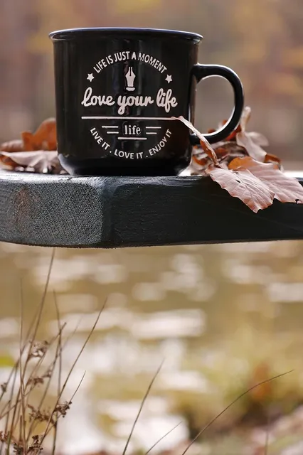 🎼 Dru Hill - How Deep Is Your Love Album