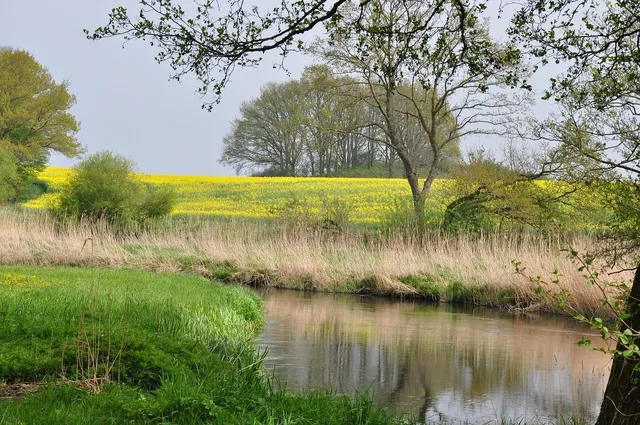 🎼 The Mohavers - Western - Il Etait Une Fois Dans L'Ouest Album