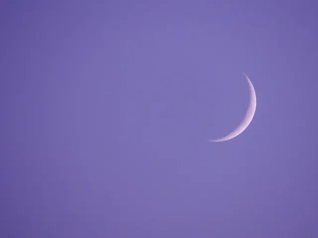 🎼 Omegatypez - New Moon Album