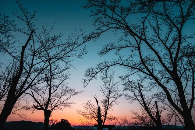 🎼 Orange N Blue - Big Big Mystic Album